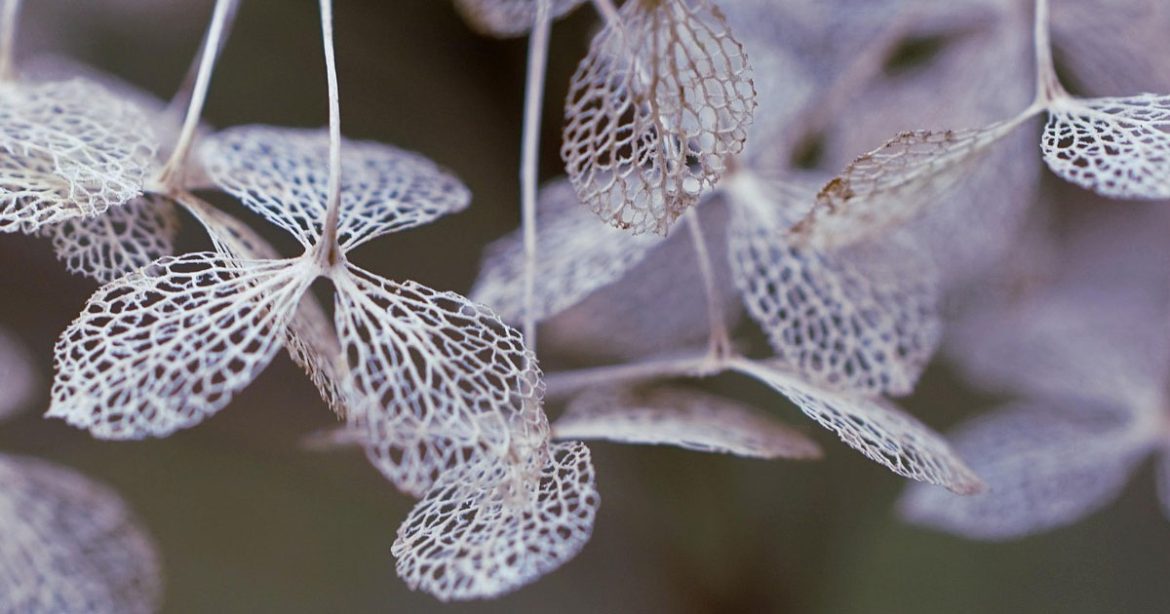 Leaves decoration