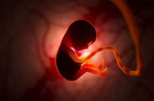 Fetal development inside womb highlighted by warm glow, illustrating IVF conception success after endometriosis fertility treatments.