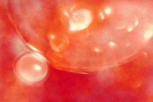 Embryonalentwicklung in einer Petrischale, die fortschrittliche IVF-Techniken einschließlich G-CSF zur Verbesserung der Endometrium-Rezeptivität symbolisiert.