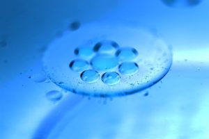 Frühe ivf-Embryonalentwicklung mit sichtbaren Zellstrukturen unter Vergrößerung im klinischen Laborumfeld gezeigt.