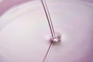 Μικροπιπέτα εισάγει υγρό σε πιάτο petri κατά την κρίσιμη διαδικασία εργαστηρίου IVF.